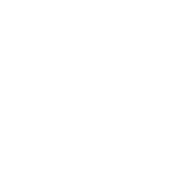 Nocview Logo